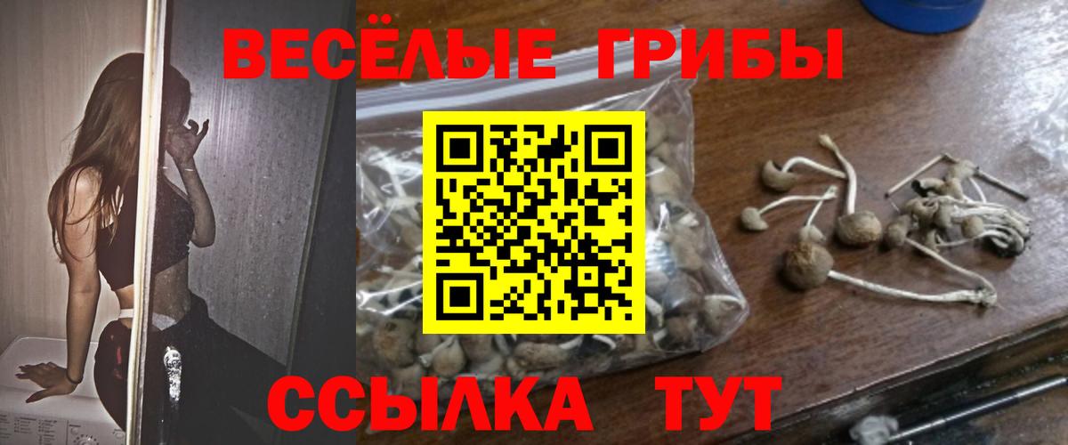 Галлюциногенные грибы MAGIC MUSHROOMS Партизанск